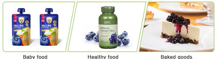 Blueberry Fruit Powderd.jpg